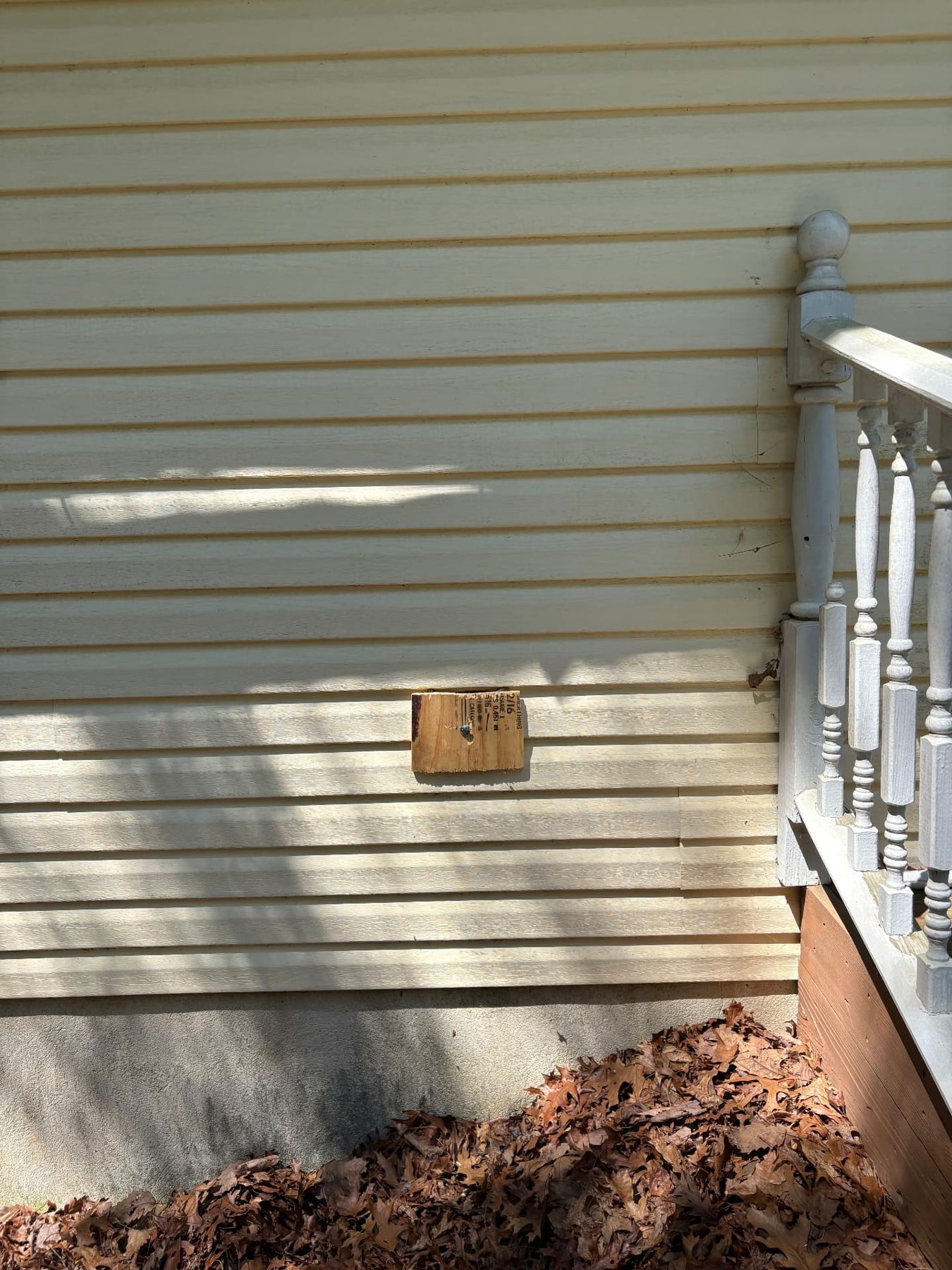 Exterior siding on a vacant property with a small plywood patch fastened over an opening